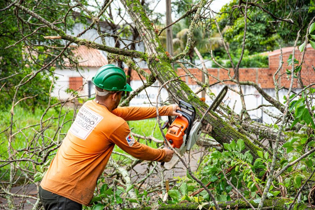 tree-maintenance-worker-using-chainsaw-in-londrina-30387769 Worker cutting tree branches with a chainsaw in Londrina, Brazil, performing city maintenance.